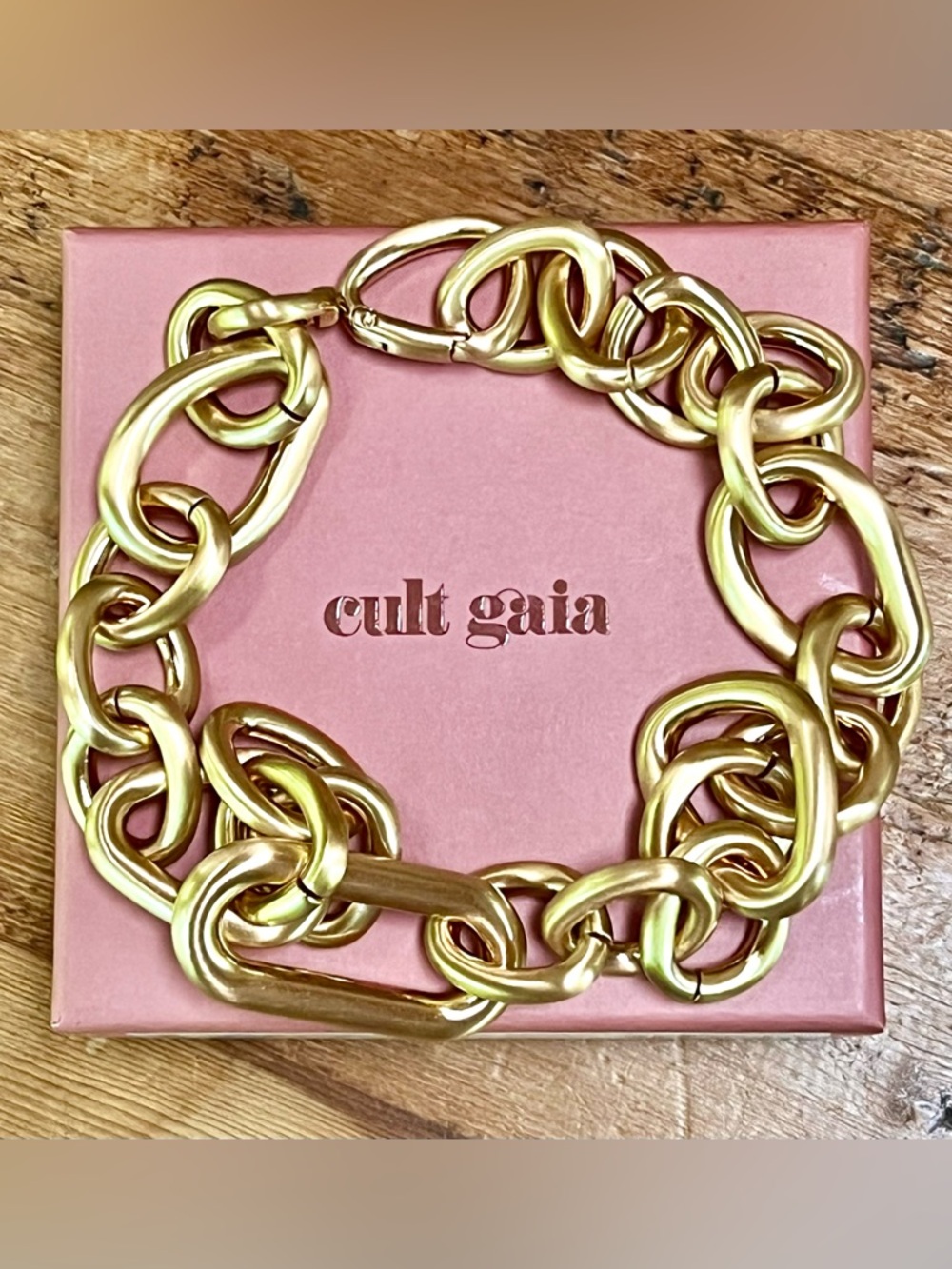 NWT Cult Gaia Reyes Necklace